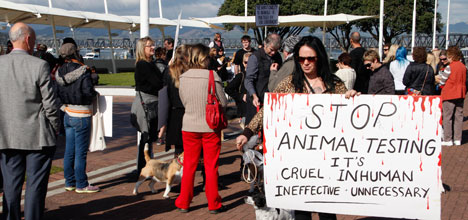 SunLive - Protest Against Animal Testing - The Bay's News First