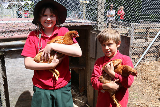 SunLive - Organic growth at Bethlehem Primary - The Bay's News First