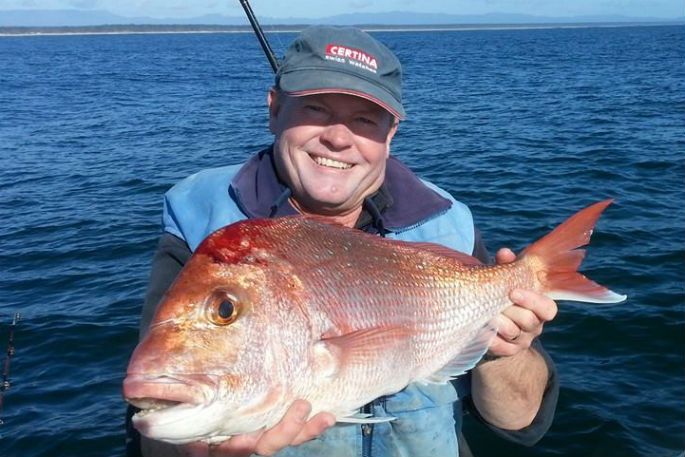 SunLive Snapper Plan Accepted The Bay s News First