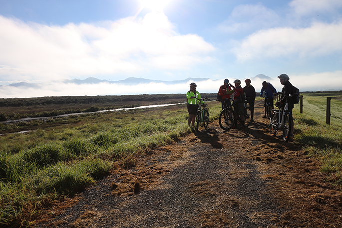 hauraki rail trail shuttle