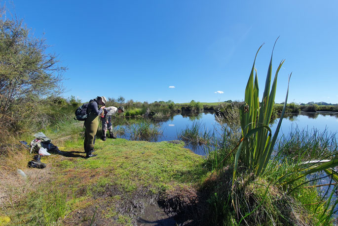 SunLive - Threatened plant survey uncovers exciting find - Vimarsana News