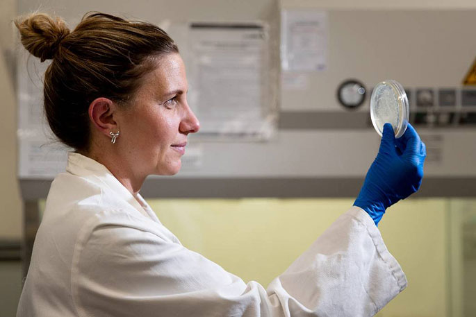 SunLive - Researchers win funds to help fight superbugs - Vimarsana News