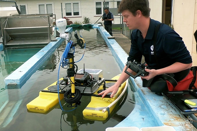 SunLive - New weapon in fight against invasive aquatic weeds - Vimarsana News