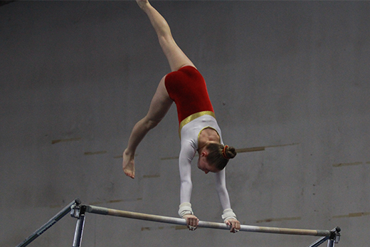 argos gymnastics bar