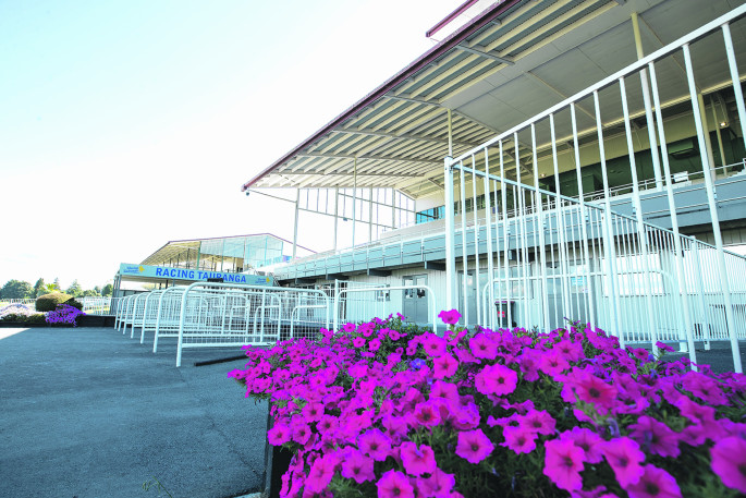 Images of Resurface JapaneseClass.jp