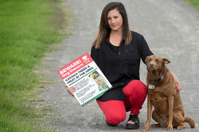 are karaka berries poisonous to dogs